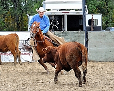 Glen Brown riding Hickorys Playdox